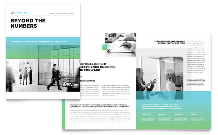 Auditing Firm Brochure Template Design - InDesign, Illustrator, Word, Publisher, Pages, QuarkXPress, CorelDraw