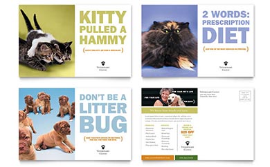 Veterinary Clinic Postcard Design Example