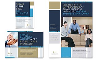 Small Business Consulting Flyer & Ad Template