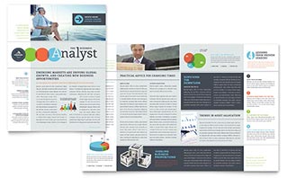 Business Analyst Newsletter Template