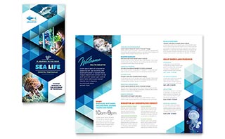 Ocean Aquarium Brochure